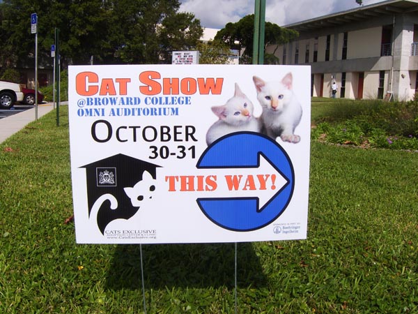 CatShow_103010_02