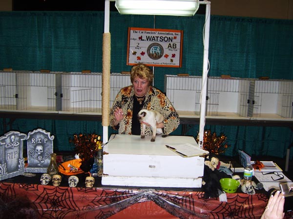 CatShow_103010_11