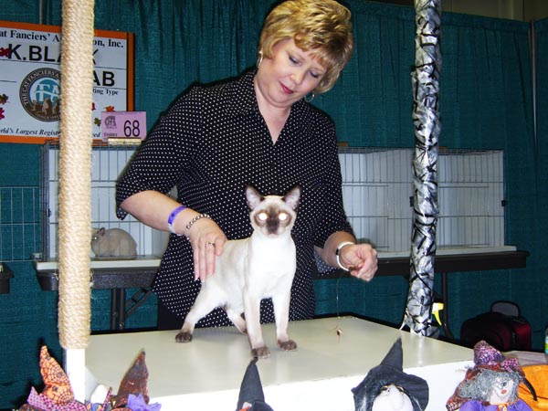 CatShow_103010_40