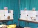 CatShow_103010_17