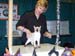 CatShow_103010_40