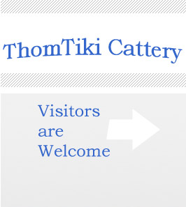 Welcome to the ThomTiki Cattery